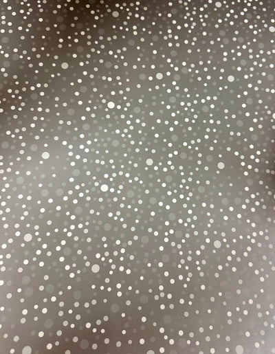 CARTULINA BOUTIQUE PLATA PUNTOS ECG 44X61 220 GRS